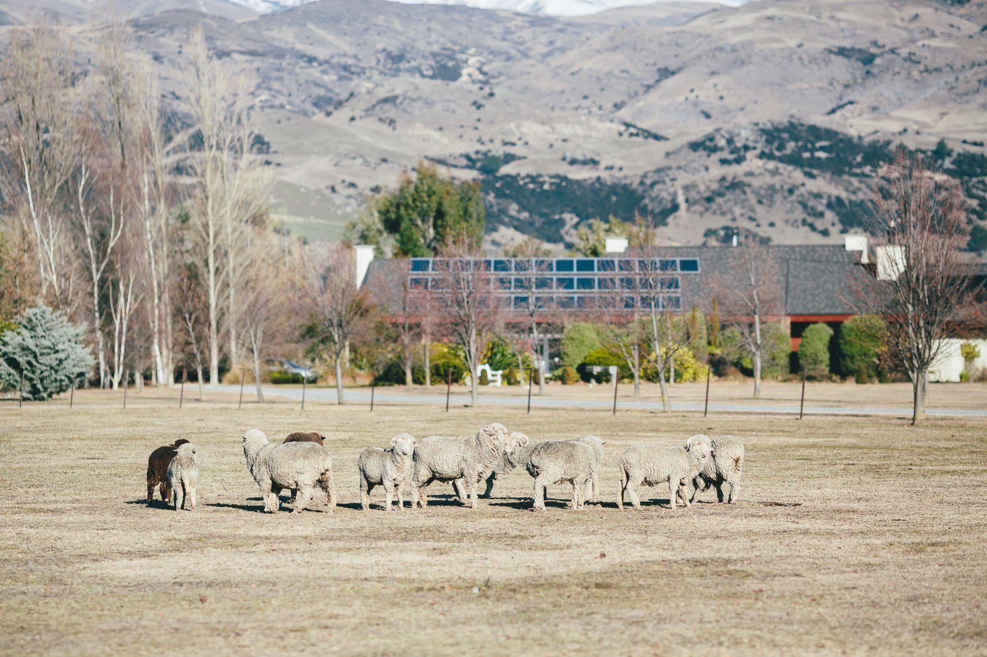 Lime Tree Lodge Wanaka Exterior foto